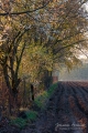 016_Biebrza - kwiecien 2012